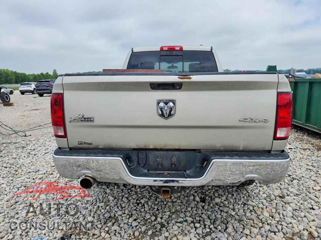 DODGE RAM 1500 2010 - 1D7RV1GT7AS186095