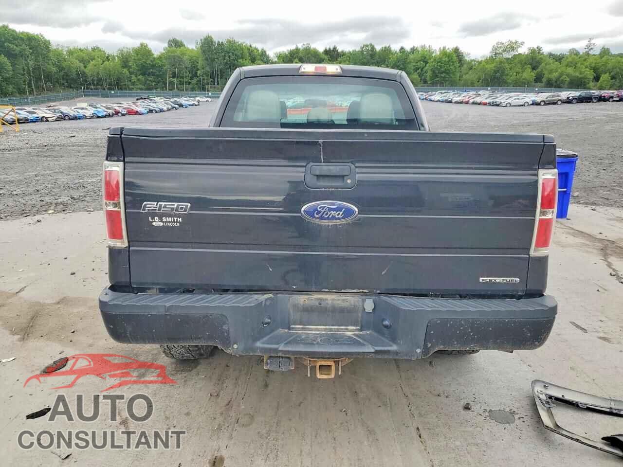 FORD F150 2013 - 1FTFX1EF0DFB56762