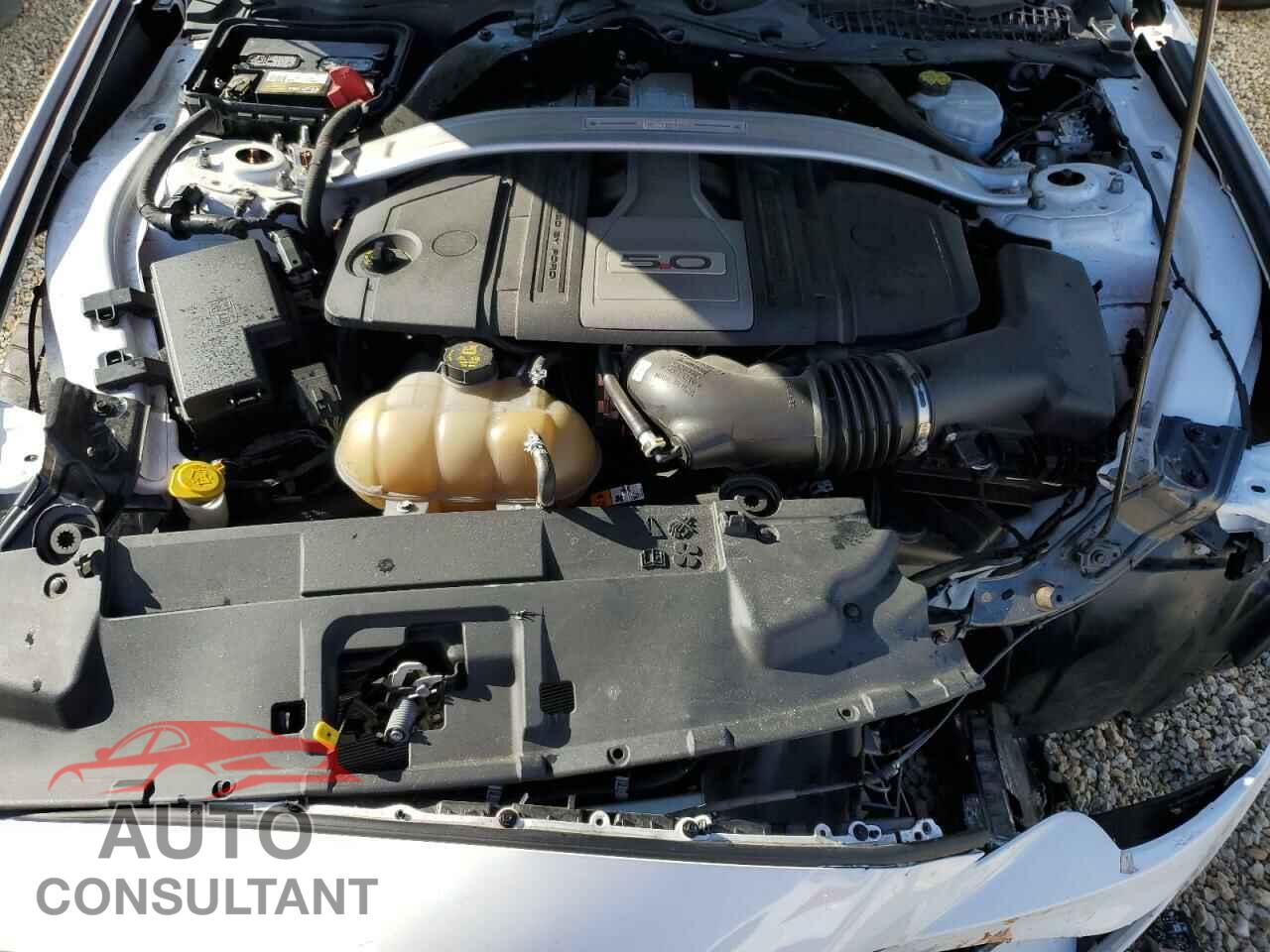 FORD MUSTANG 2018 - 1FA6P8CF0J5121478