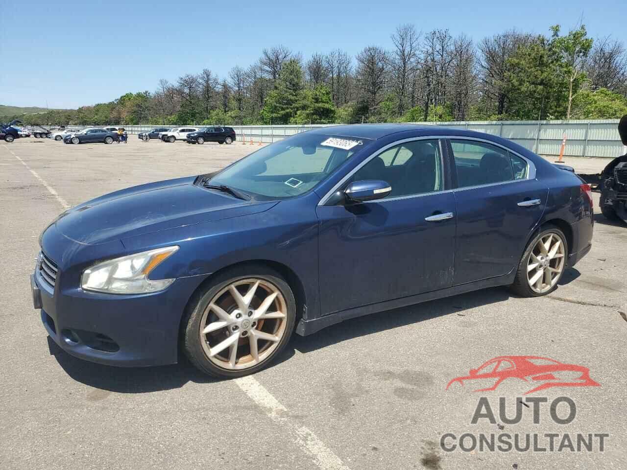 NISSAN MAXIMA 2010 - 1N4AA5AP1AC803464