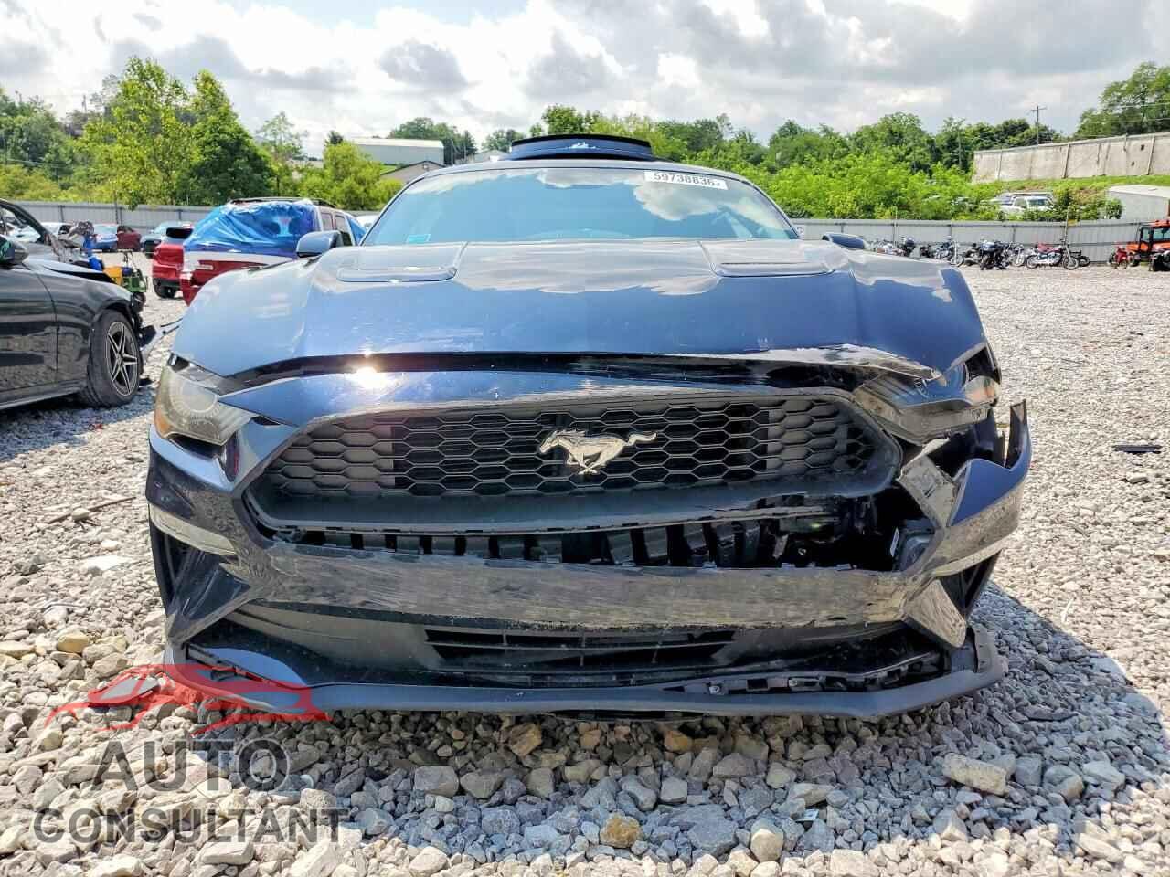 FORD MUSTANG 2021 - 1FA6P8TH9M5153433