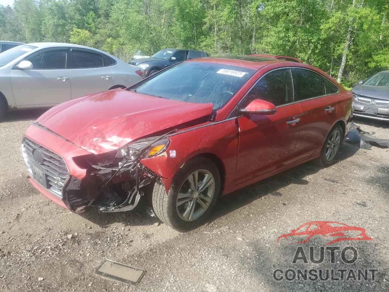 HYUNDAI SONATA 2018 - 5NPE34AF4JH607661