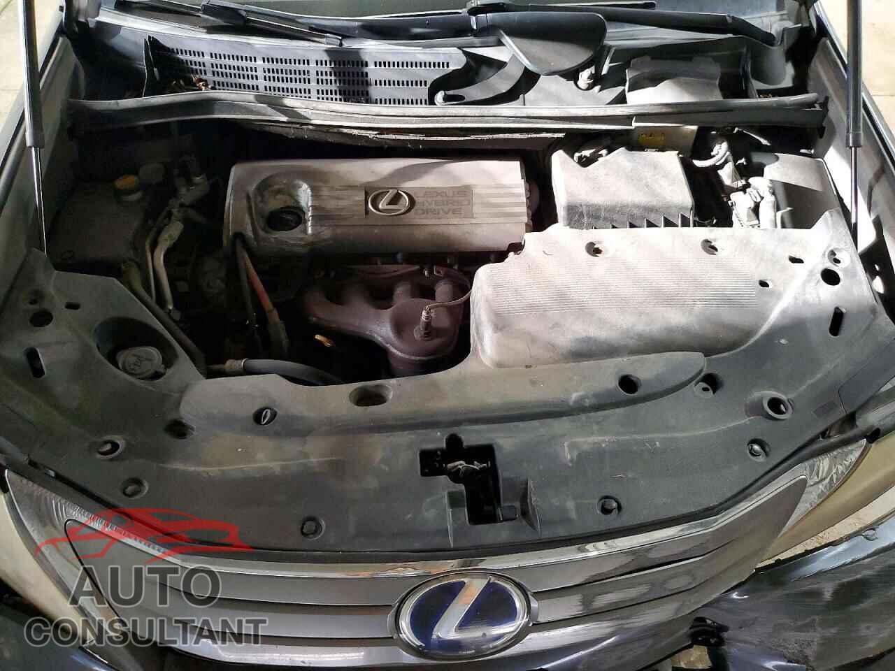 LEXUS HS 2010 - JTHBB1BA3A2036901