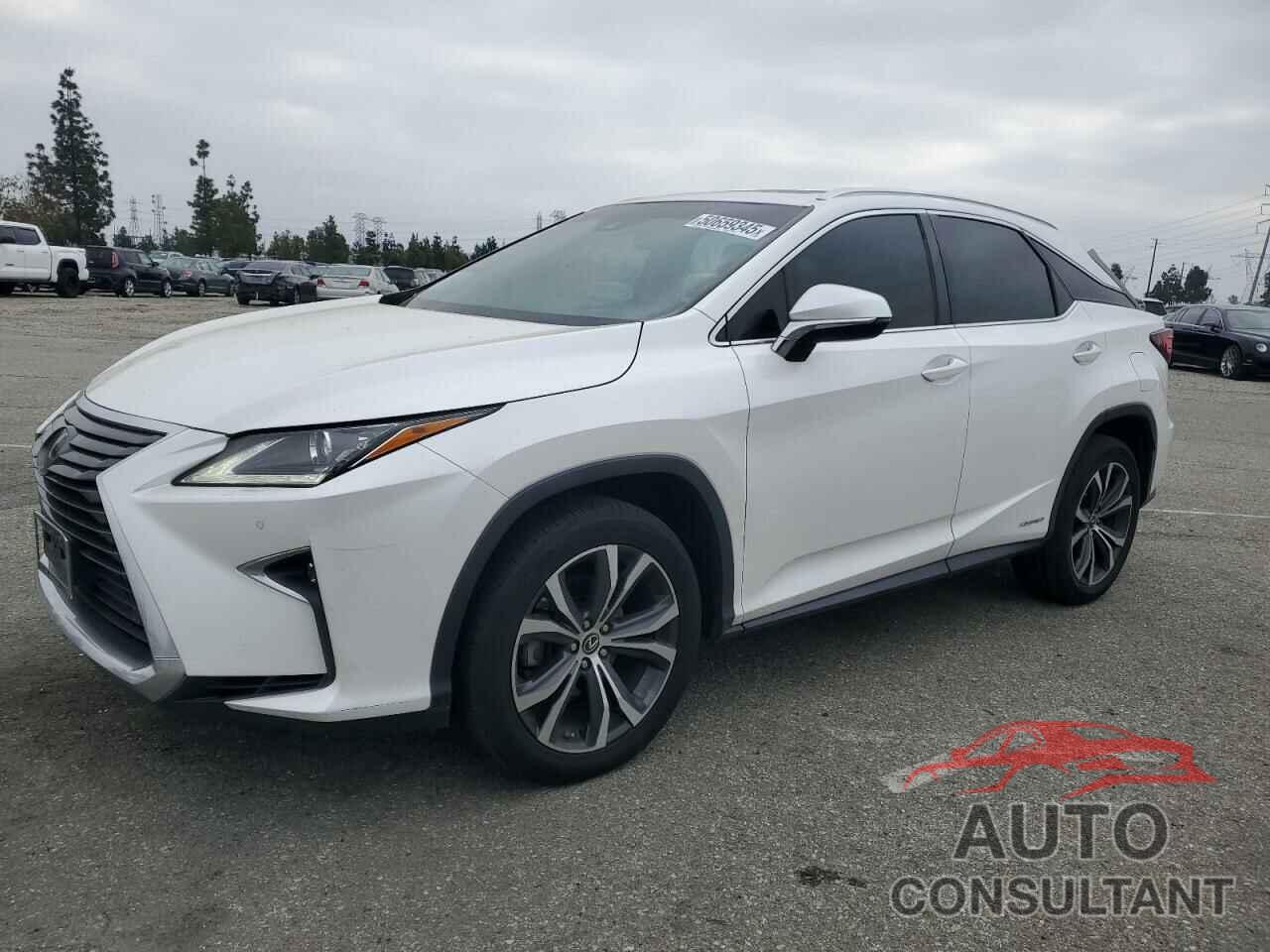 LEXUS RX450 2019 - 2T2BGMCA4KC035015