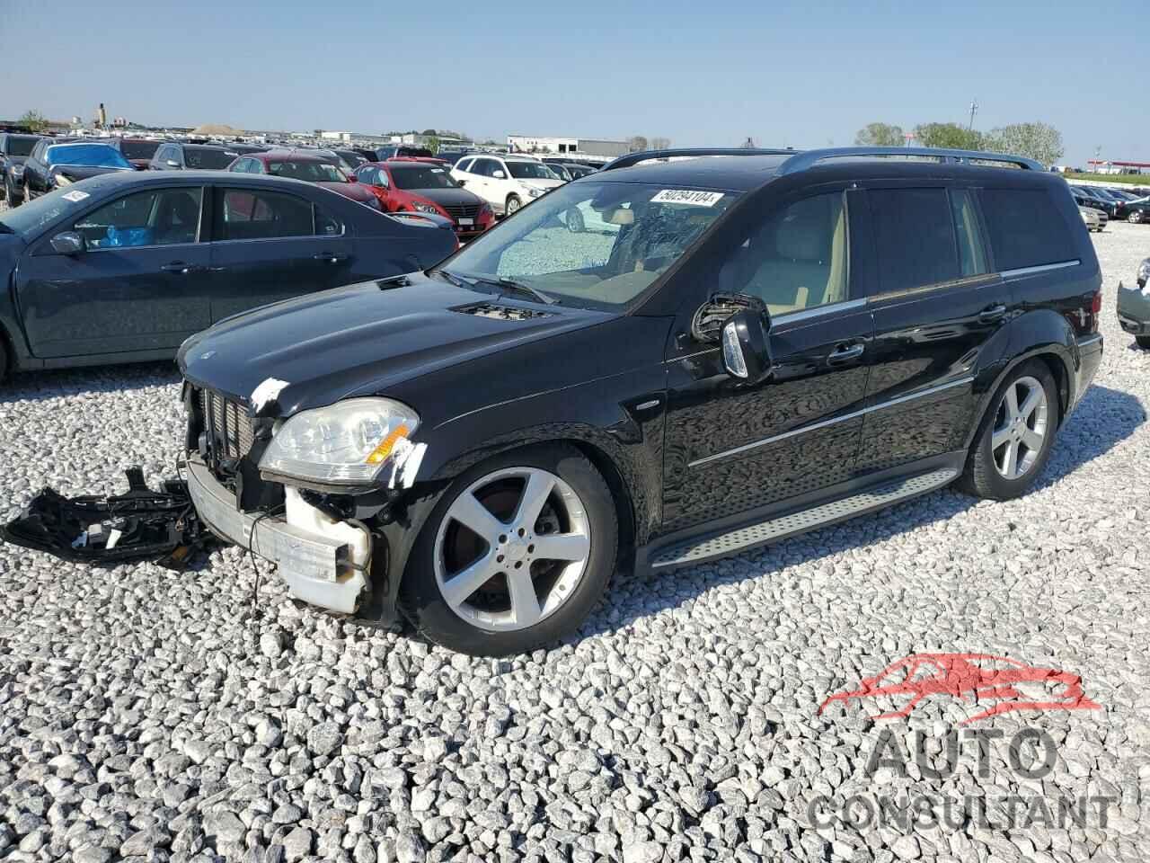 MERCEDES-BENZ GL-CLASS 2009 - 4JGBF25E69A499610
