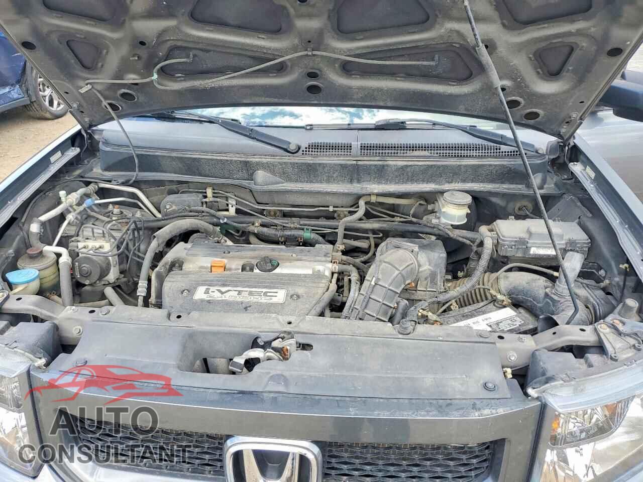 HONDA ELEMENT 2009 - 5J6YH18909L000655