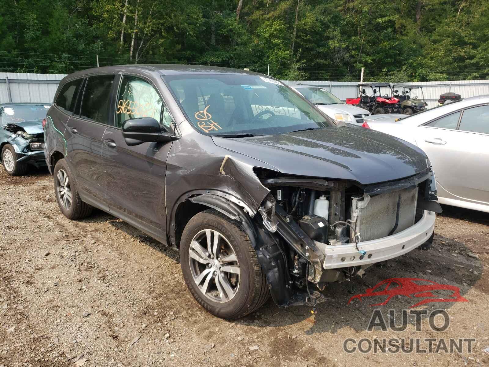 HONDA PILOT 2018 - 5FNYF6H31JB032929