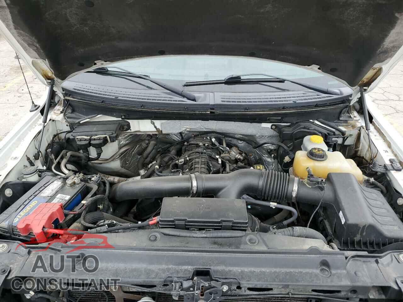 FORD F-150 2013 - 1FTFW1ET4DFD80531