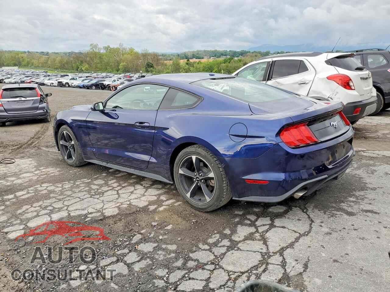 FORD MUSTANG 2019 - 1FA6P8TH0K5117465