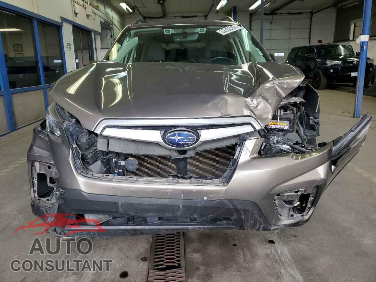 SUBARU FORESTER 2019 - JF2SKAEC8KH530430