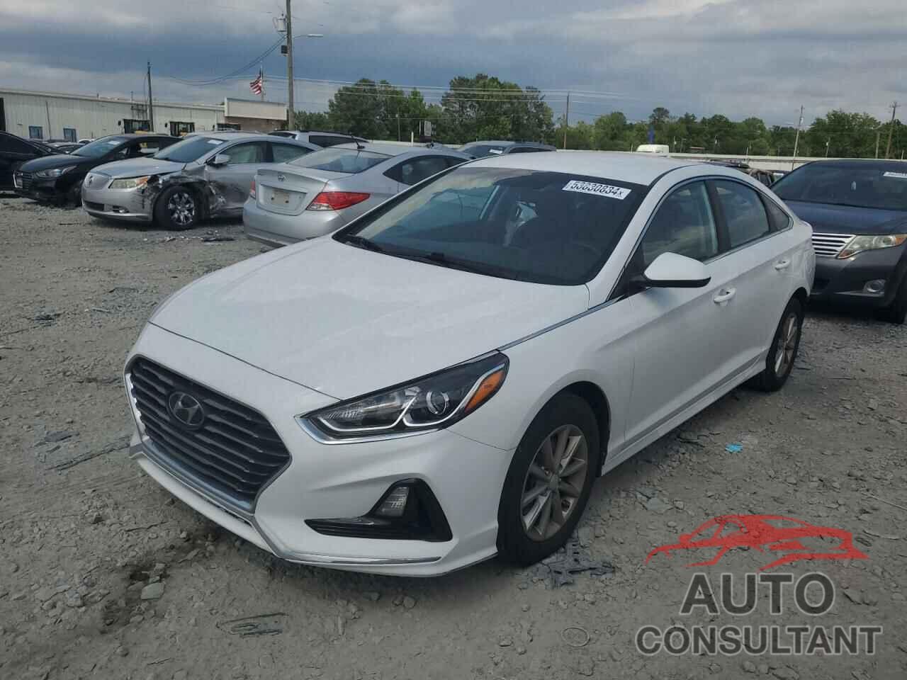 HYUNDAI SONATA 2019 - 5NPE24AF9KH734815