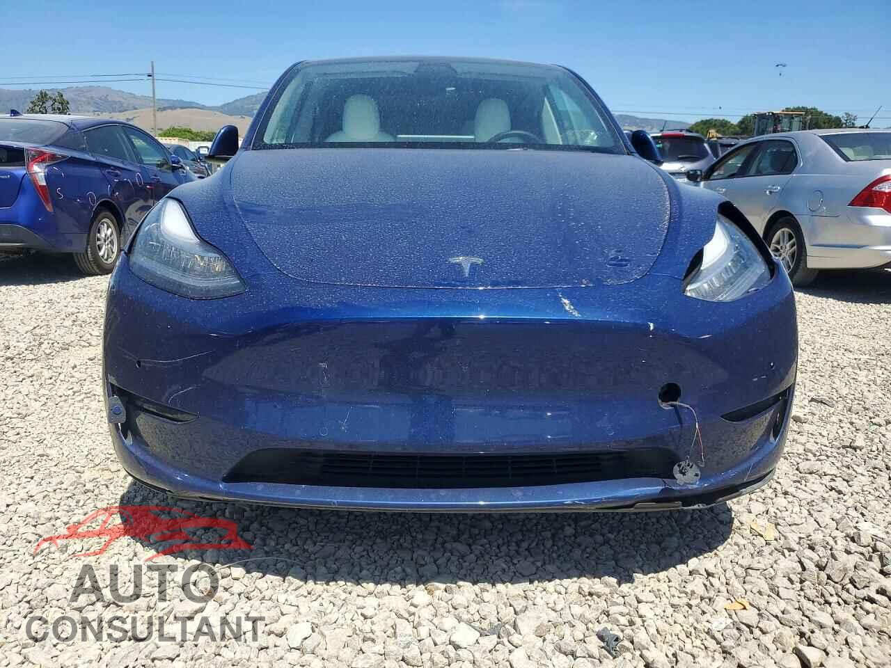 TESLA MODEL Y 2022 - 7SAYGDEE8NF319636