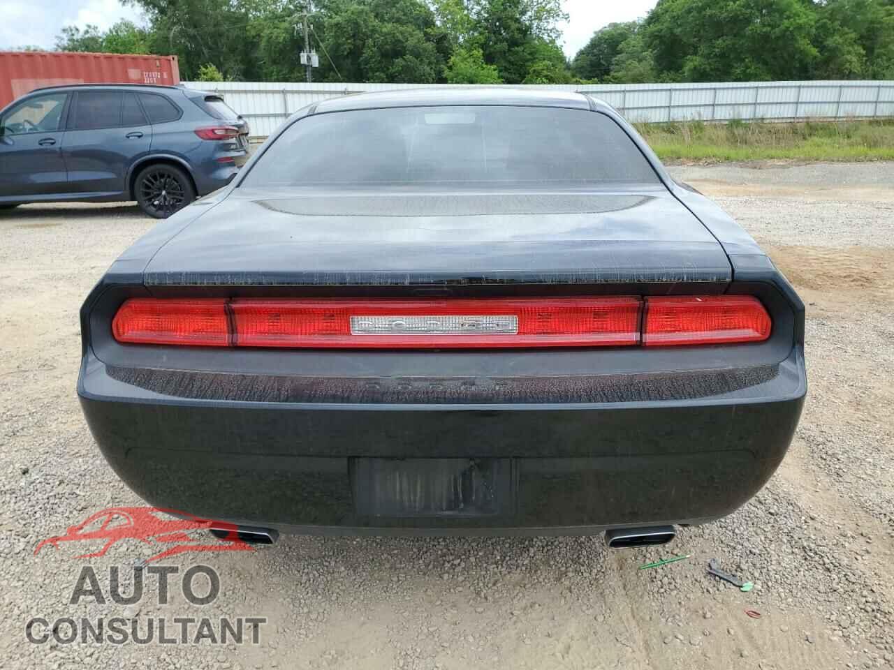 DODGE CHALLENGER 2013 - 2C3CDYAG5DH692502