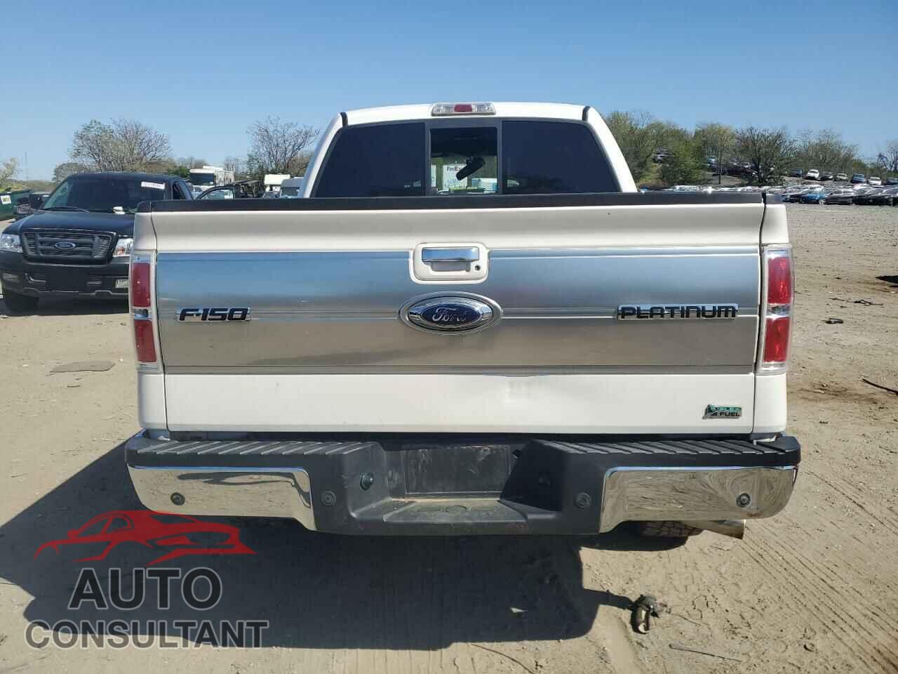 FORD F-150 2010 - 1FTFW1EV7AFC33018