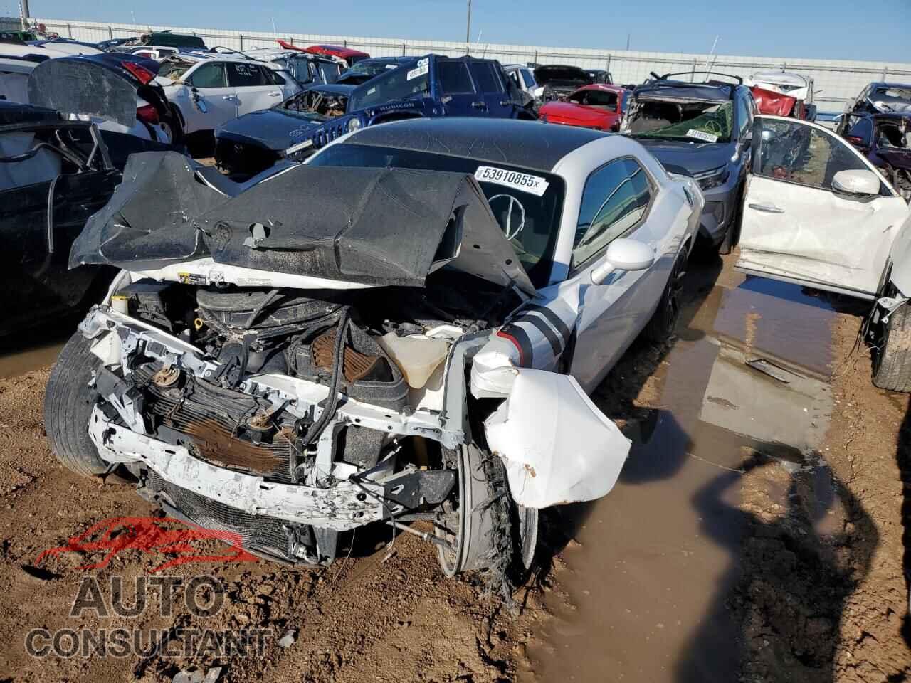 DODGE CHALLENGER 2019 - 2C3CDZBT6KH521580
