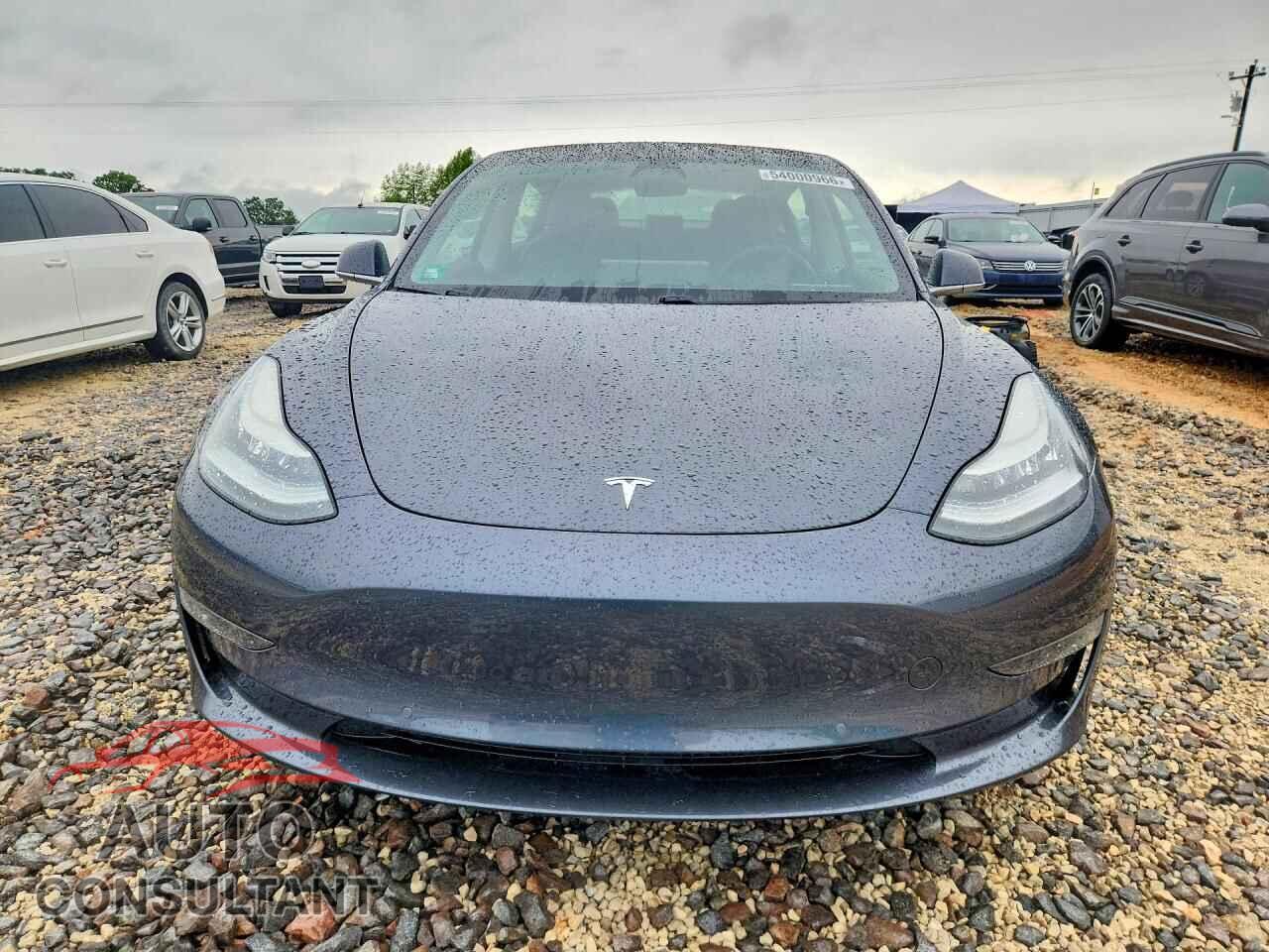 TESLA MODEL 3 2019 - 5YJ3E1EA2KF308197
