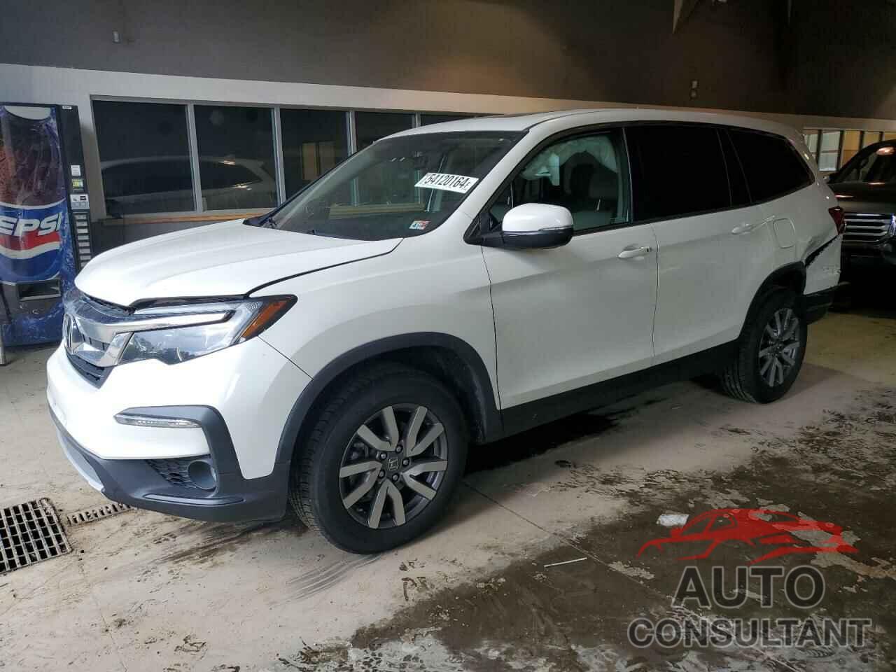 HONDA PILOT 2019 - 5FNYF6H52KB044784