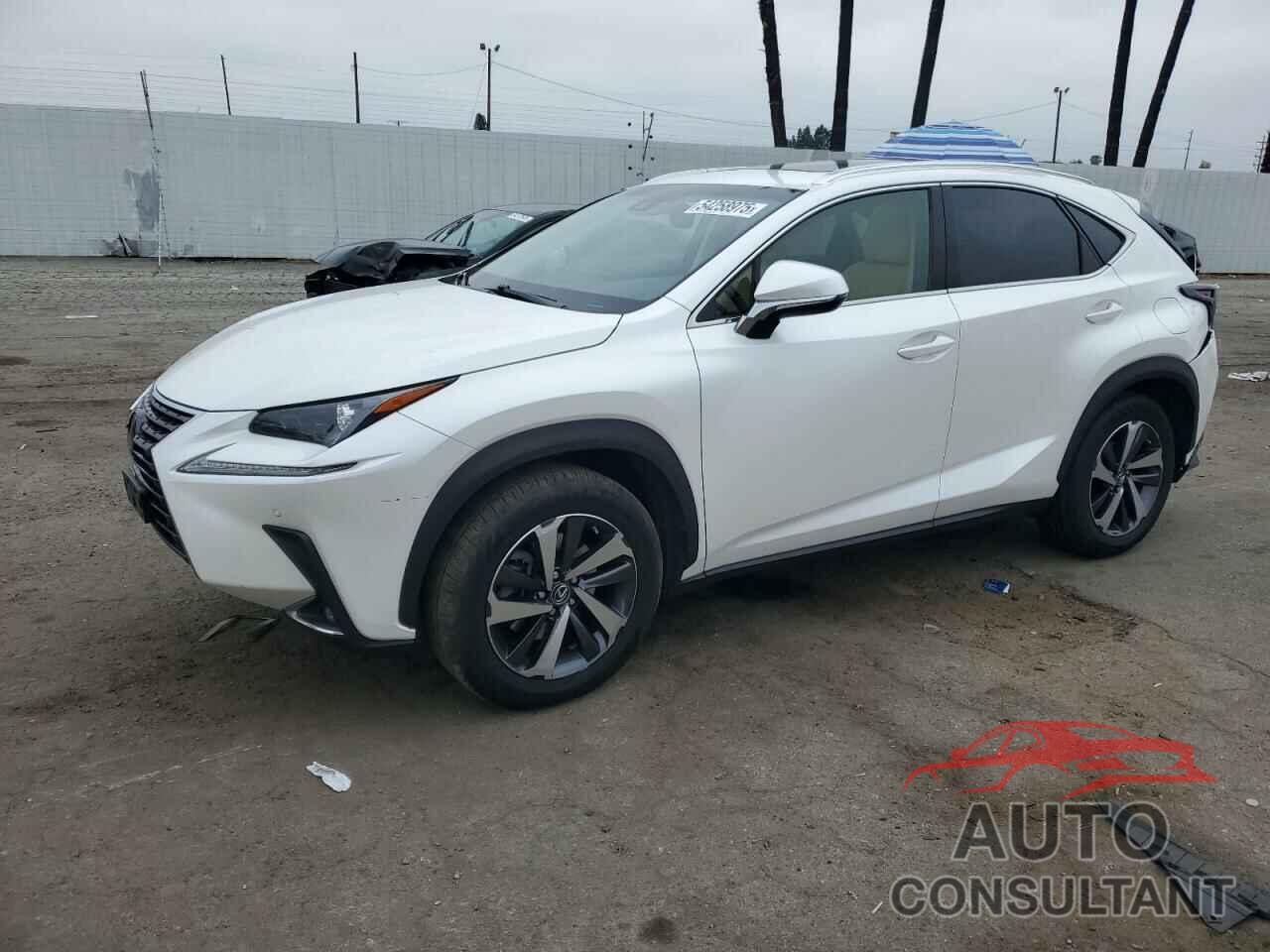 LEXUS NX 2019 - JTJYARBZ5K2138167