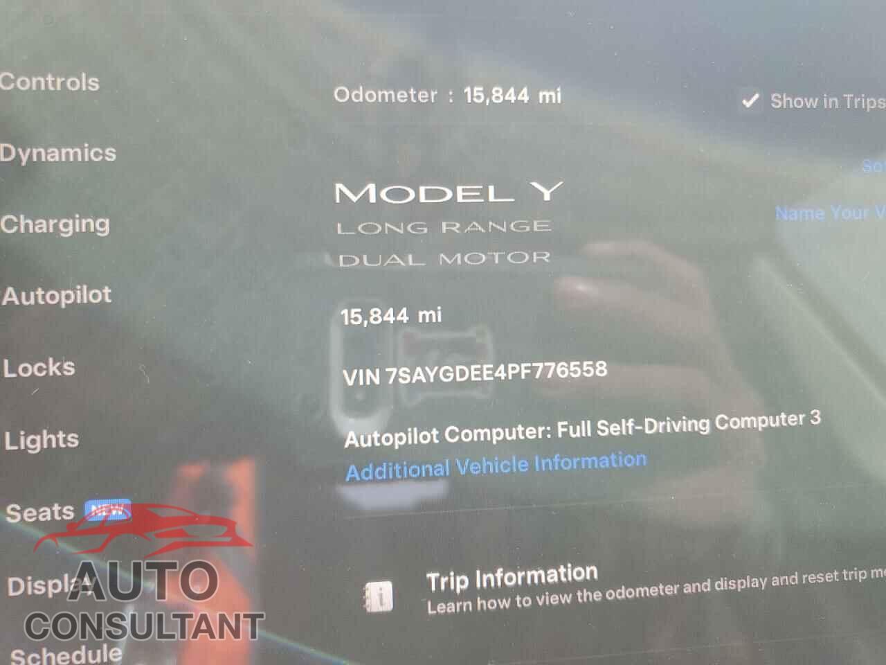 TESLA MODEL Y 2023 - 7SAYGDEE4PF776558