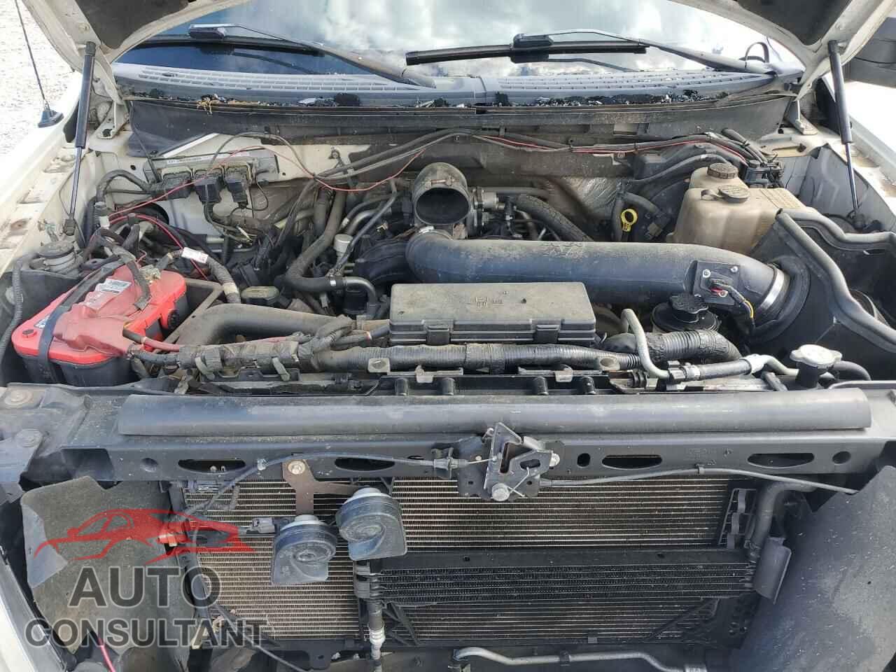 FORD F-150 2010 - 1FTFW1EV2AFA47970