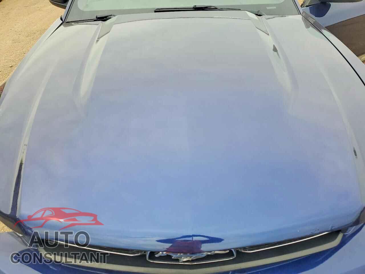 FORD MUSTANG 2012 - 1ZVBP8AMXC5263248