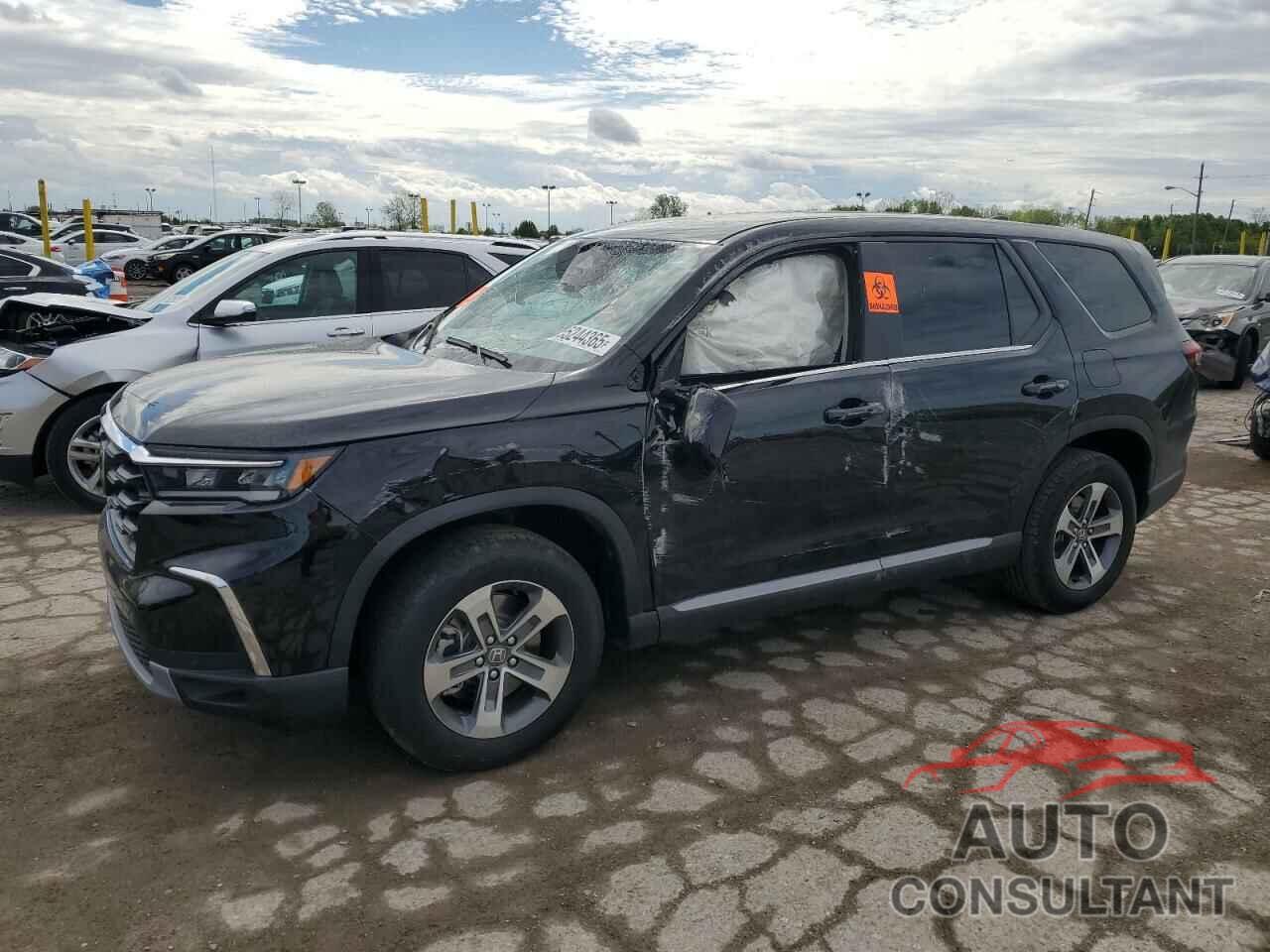 HONDA PILOT 2025 - 5FNYG1H45SB121882