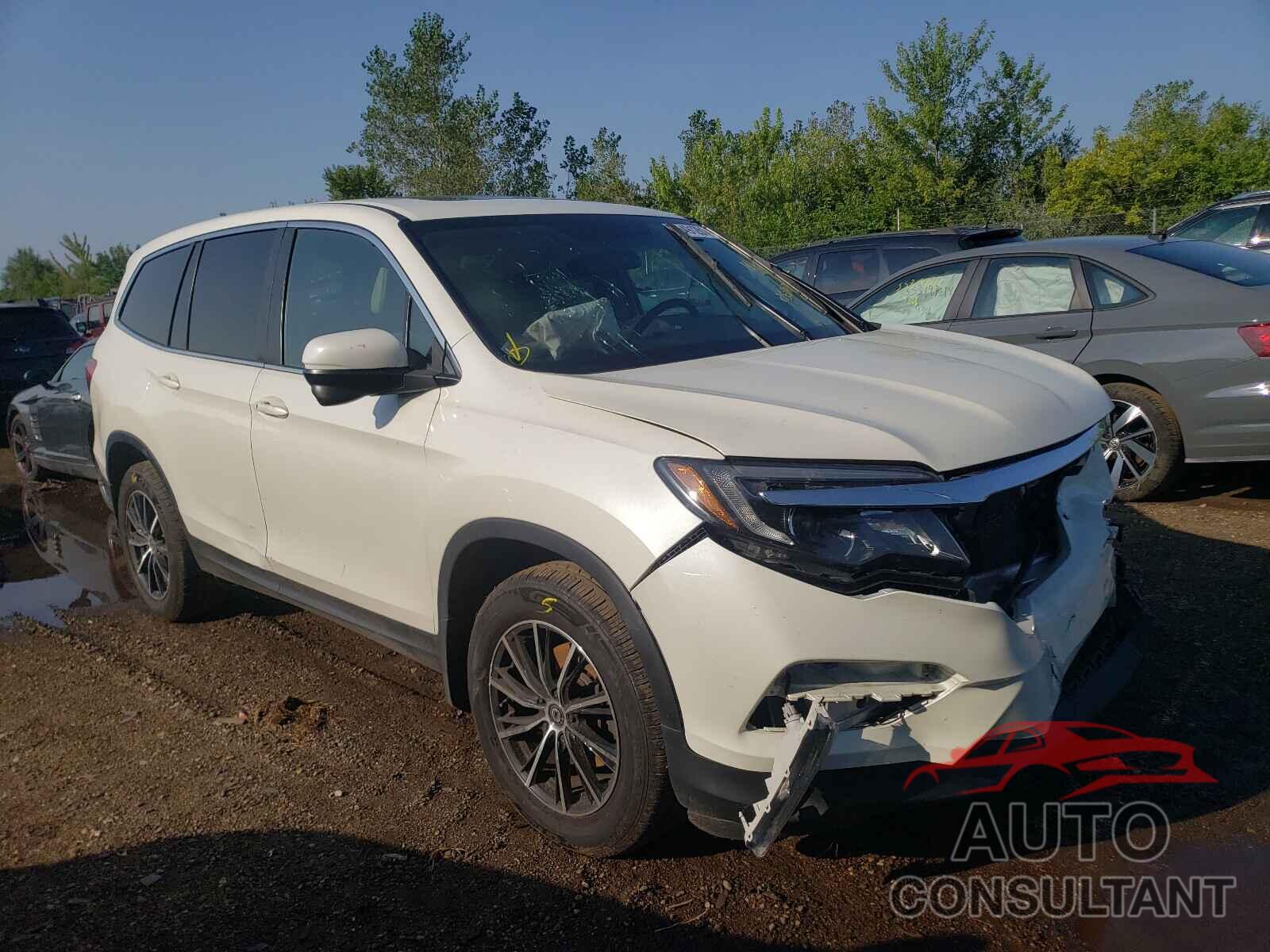 HONDA PILOT 2016 - 5FNYF6H5XGB050789