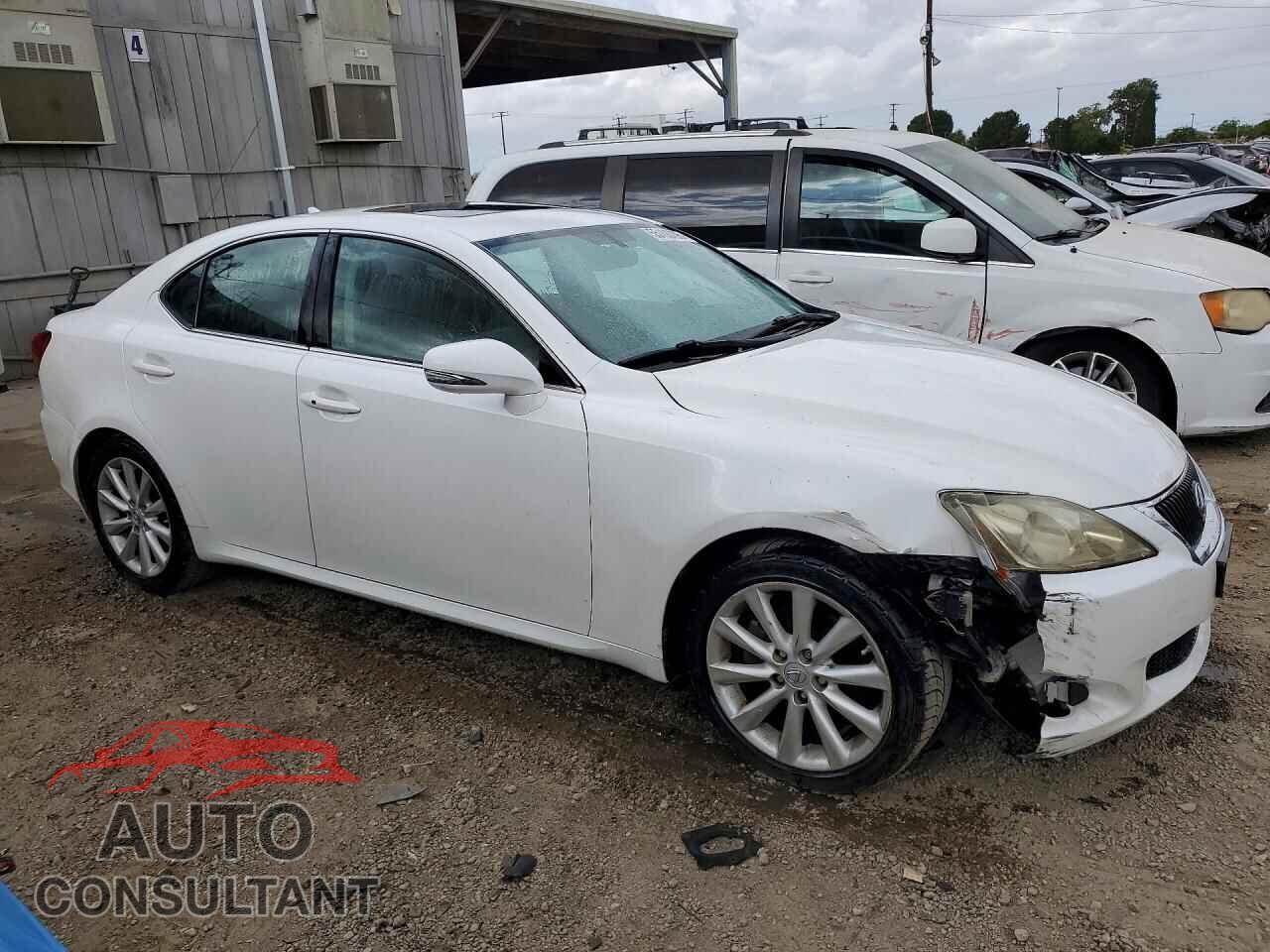 LEXUS IS 2009 - JTHBK262195092032