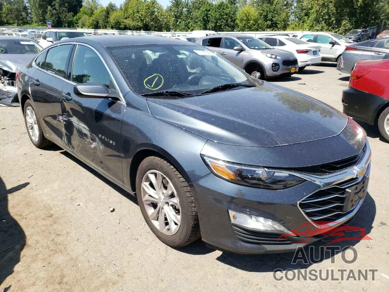 CHEVROLET MALIBU 2019 - 1G1ZD5ST9KF119724