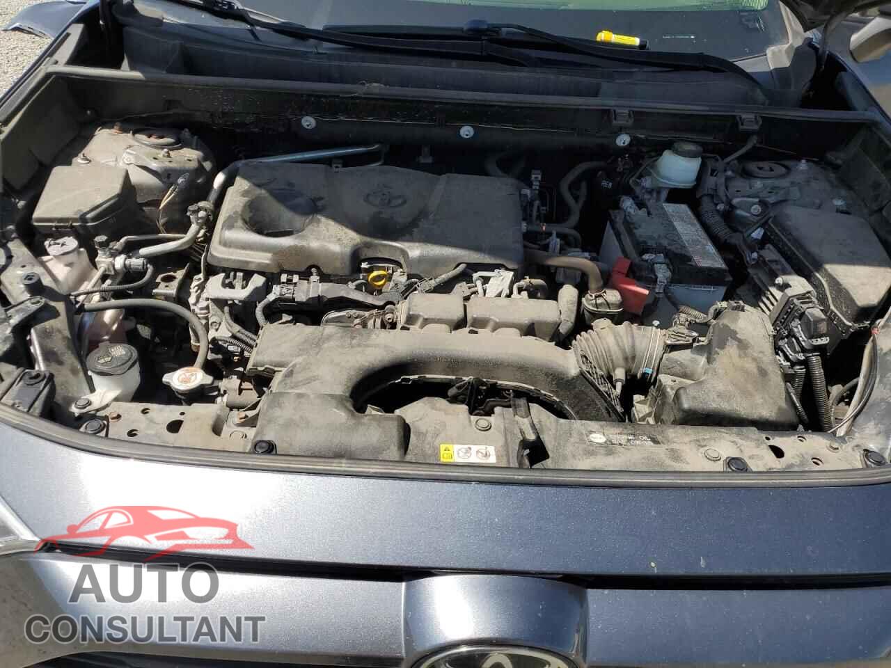 TOYOTA RAV4 2019 - JTMP1RFV2KD005229