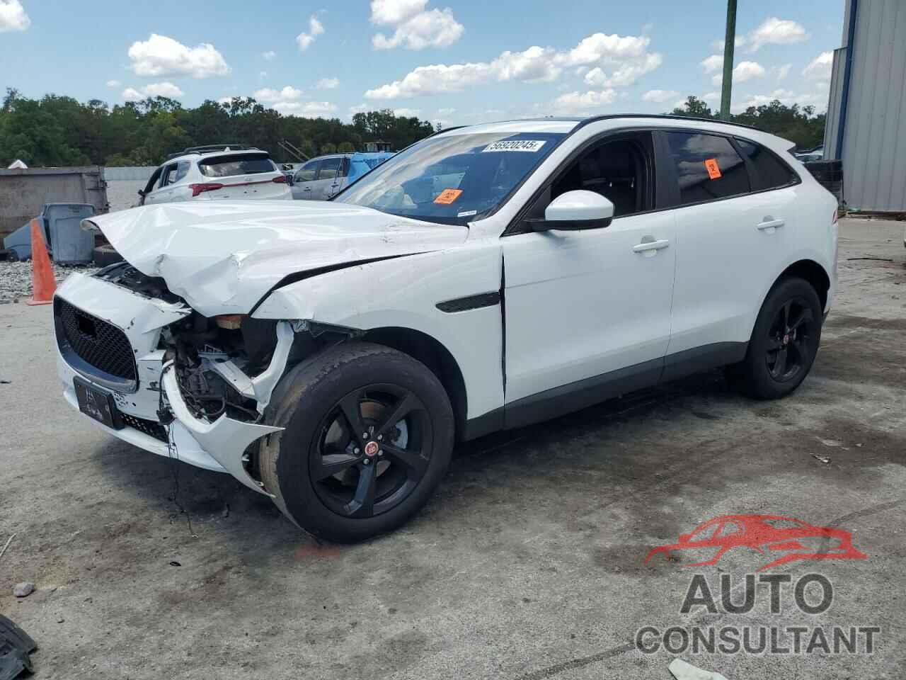 JAGUAR F-PACE 2019 - SADCK2FX4KA354970
