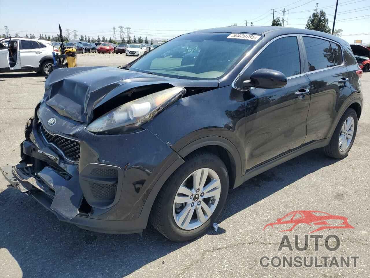 KIA SPORTAGE 2017 - KNDPM3AC3H7232317
