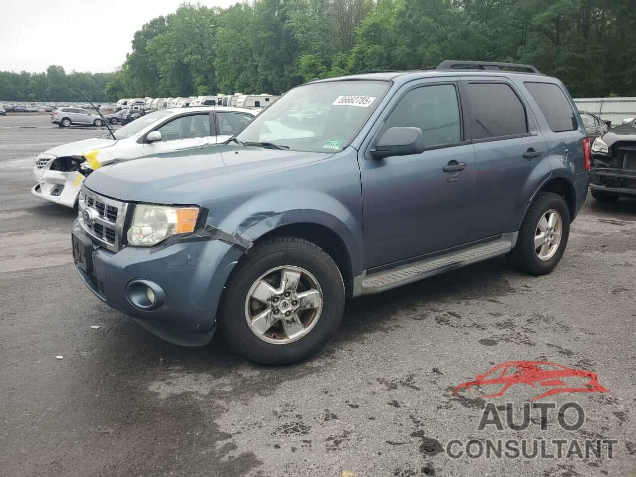 FORD ESCAPE 2011 - 1FMCU0DG0BKA03606