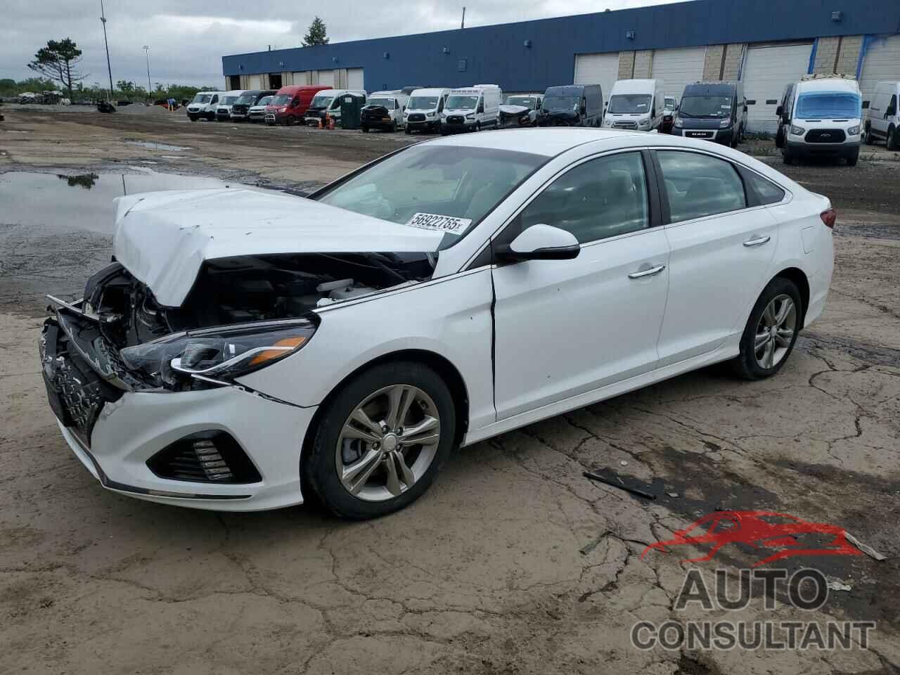 HYUNDAI SONATA 2019 - 5NPE34AF6KH749432