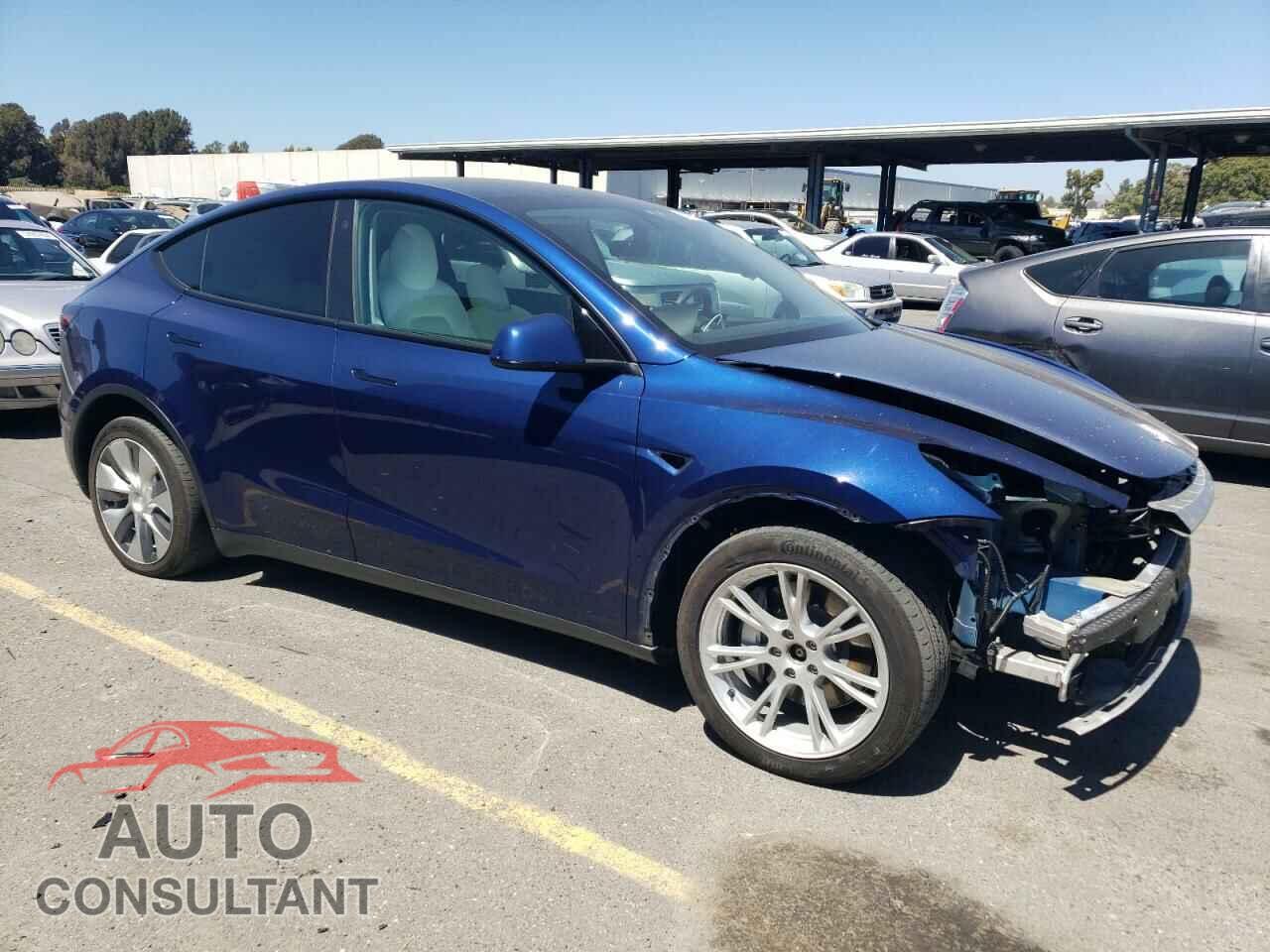 TESLA MODEL Y 2021 - 5YJYGDEEXMF091702