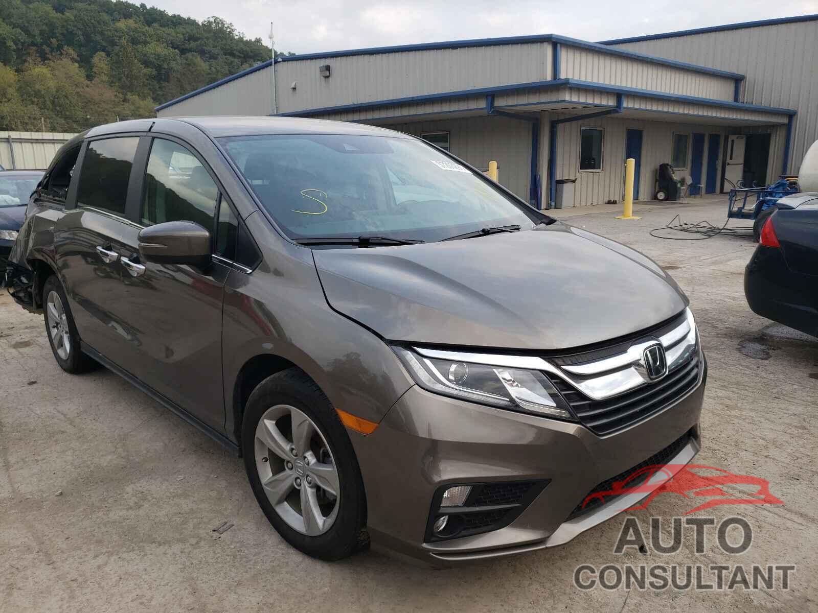 HONDA ODYSSEY 2019 - 5FNRL6H56KB049807