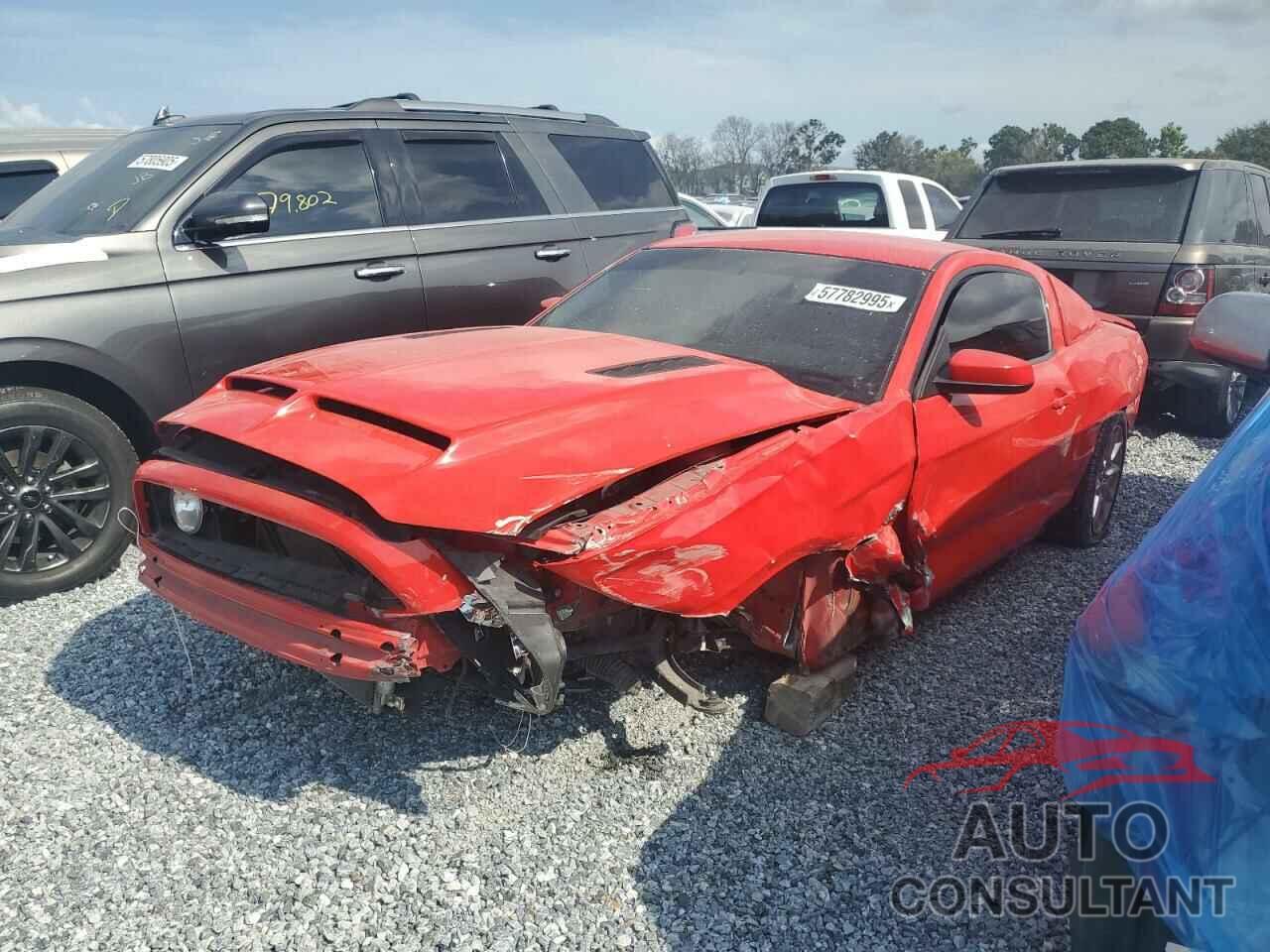 FORD MUSTANG 2014 - 1ZVBP8CF1E5311771