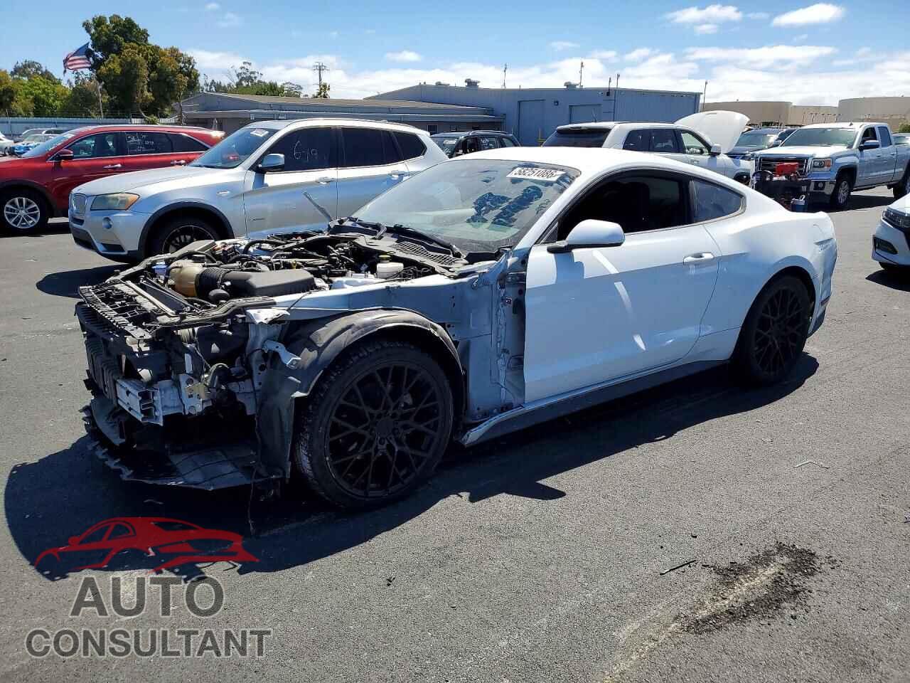 FORD MUSTANG 2021 - 1FA6P8TH5M5139948