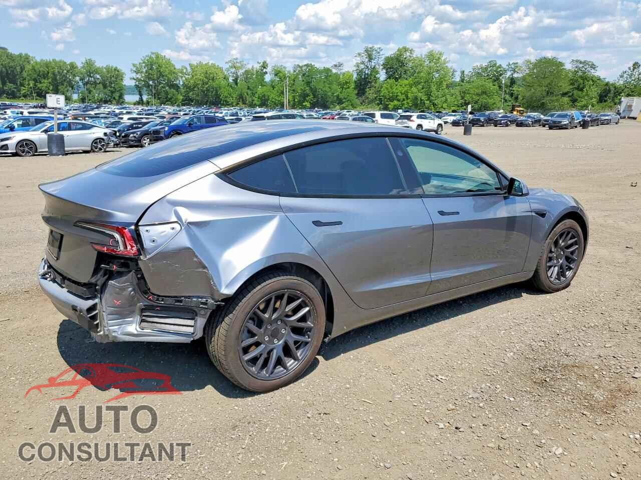 TESLA MODEL 3 2025 - 5YJ3E1EA8SF017610