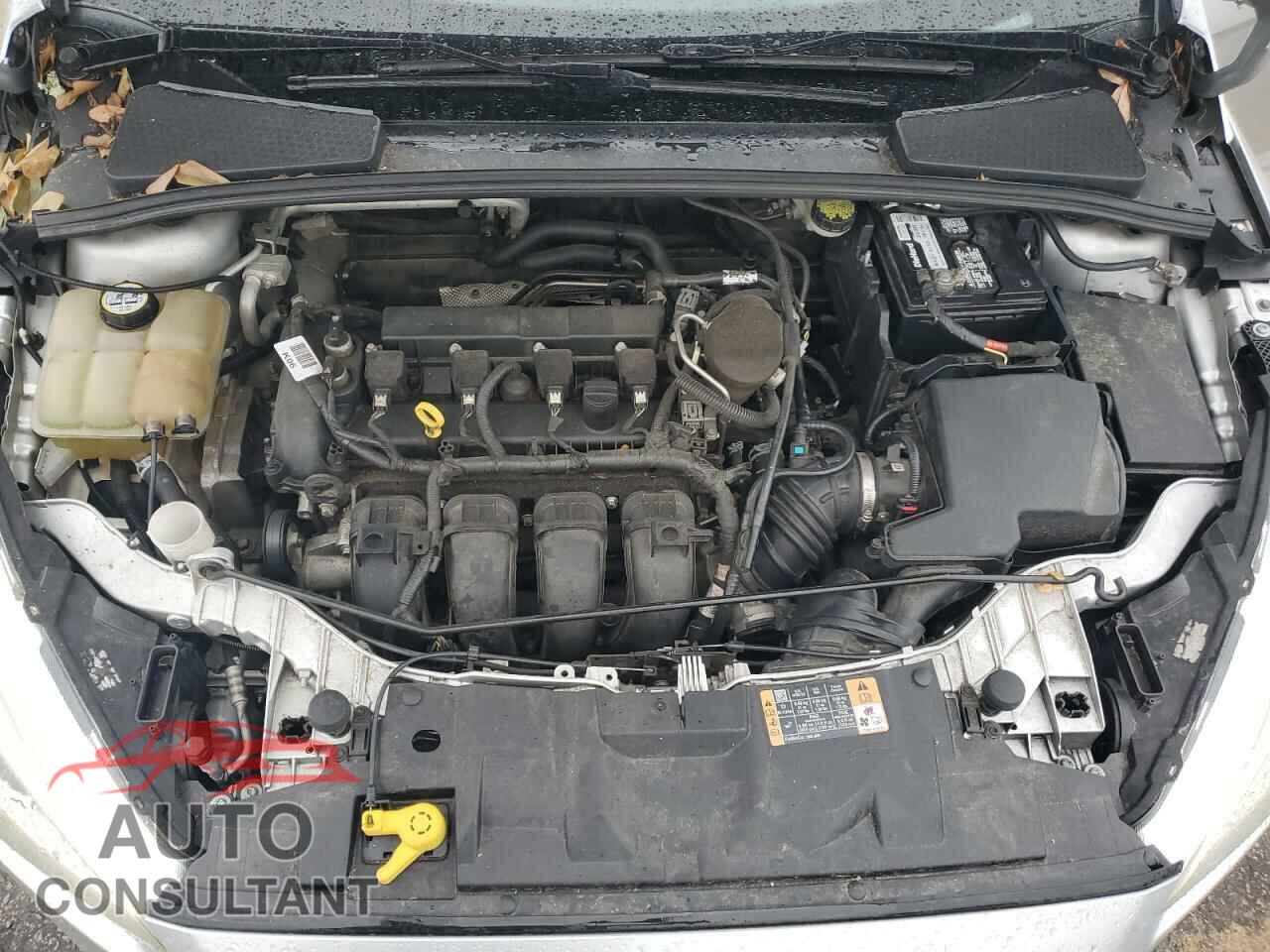 FORD FOCUS 2016 - 1FADP3F2XGL292407