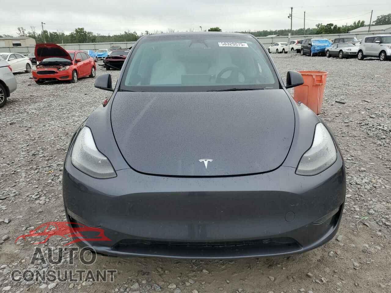 TESLA MODEL Y 2022 - 7SAYGDEF7NF507184