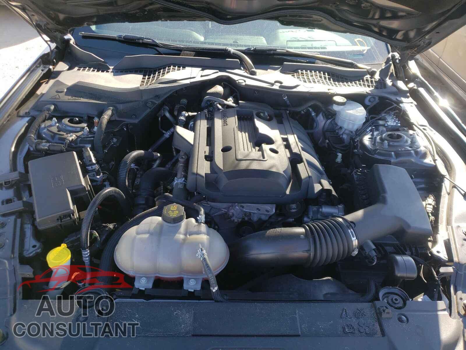 FORD MUSTANG 2019 - 1FA6P8TH4K5114794