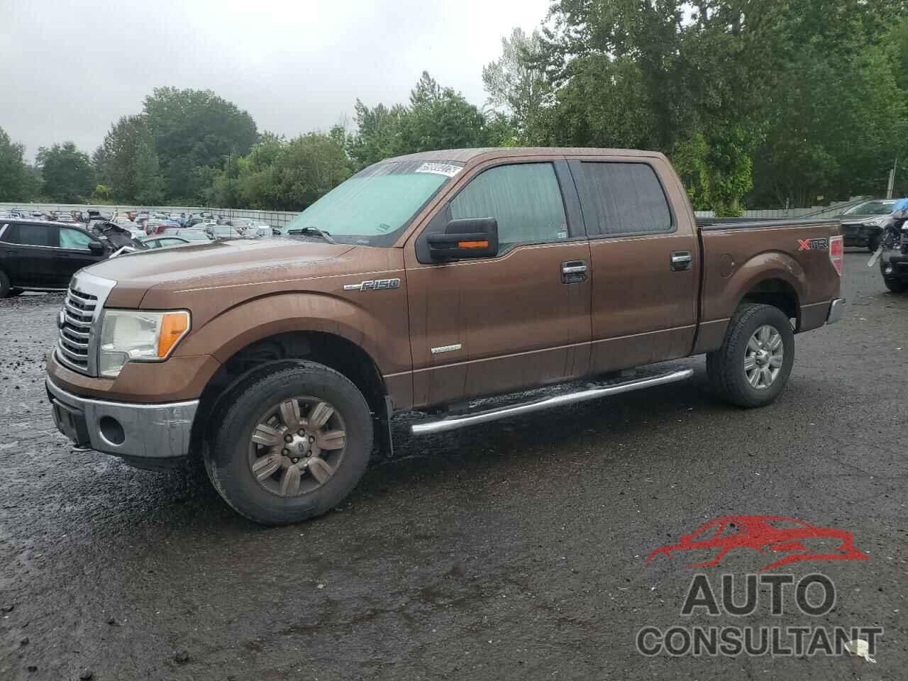 FORD F-150 2012 - 1FTFW1ET1CFC26745
