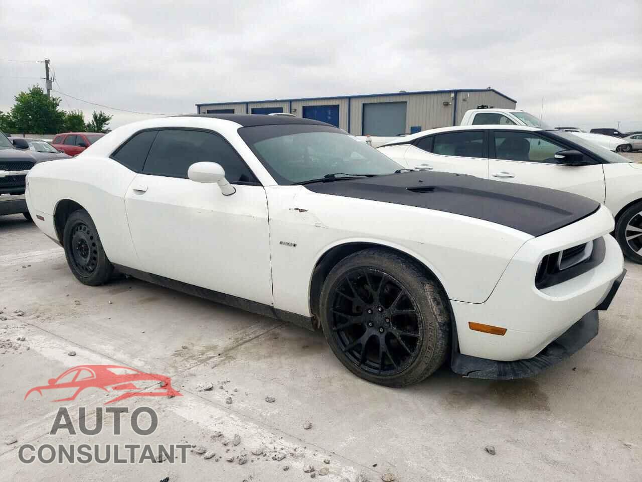 DODGE CHALLENGER 2014 - 2C3CDYBT8EH176776