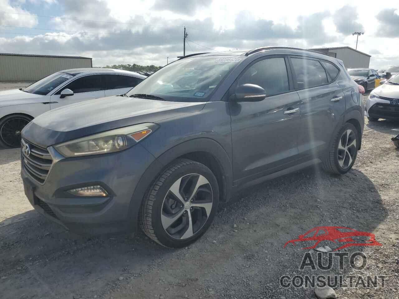 HYUNDAI TUCSON 2016 - KM8J33A24GU201816