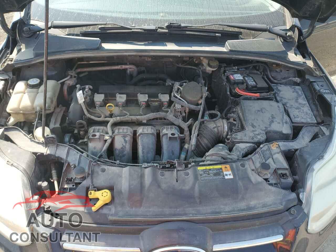 FORD FOCUS 2013 - 1FADP3K22DL144656