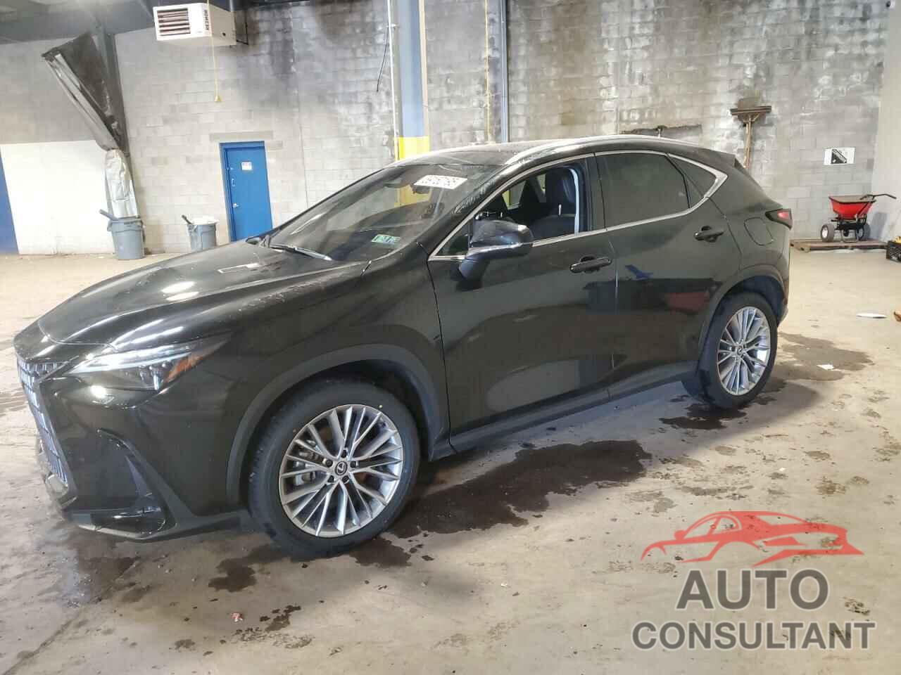 LEXUS NX 350 LUX 2024 - 2T2HGCEZ7RC034667