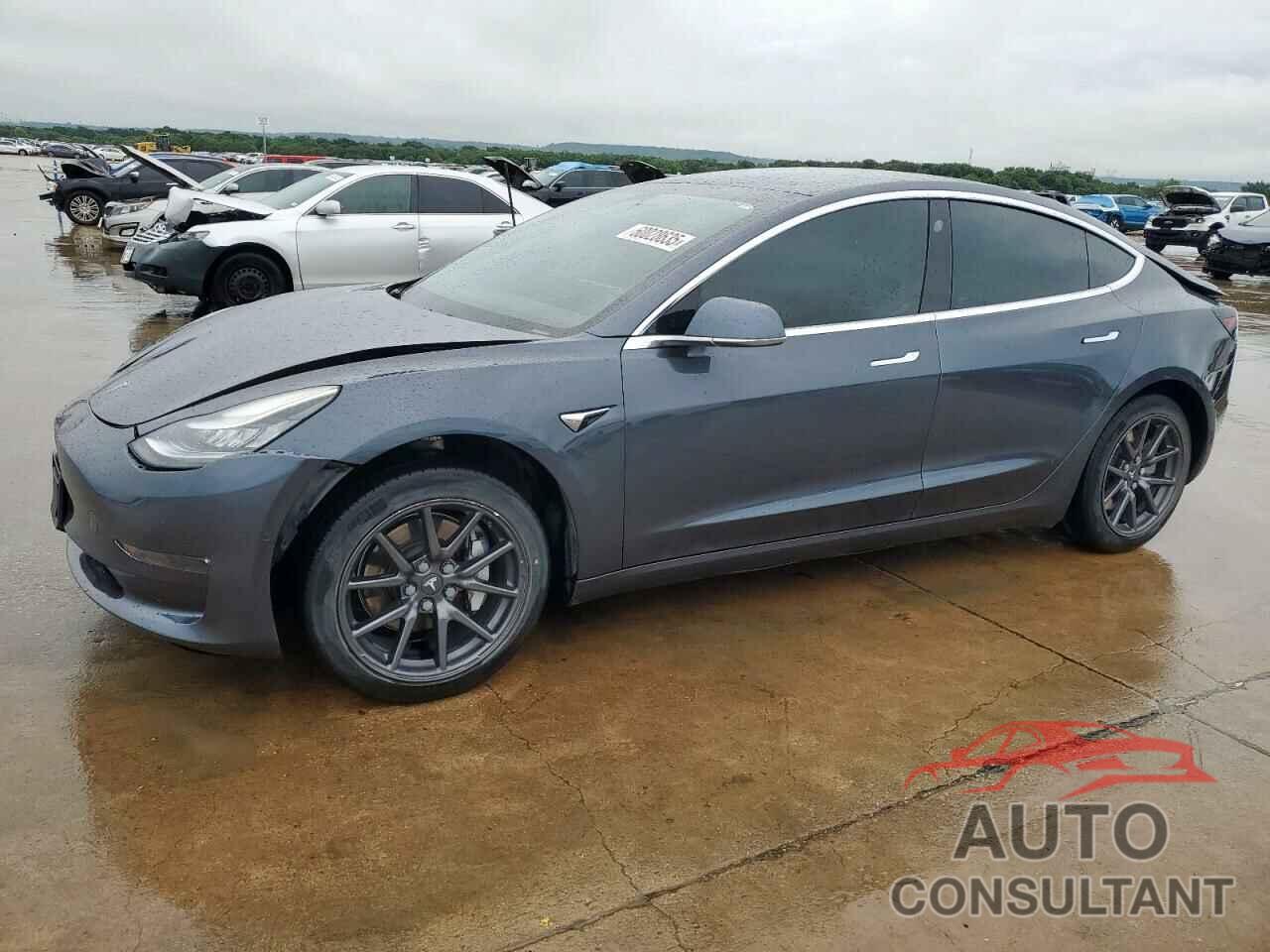 TESLA MODEL 3 2019 - 5YJ3E1EA2KF317174