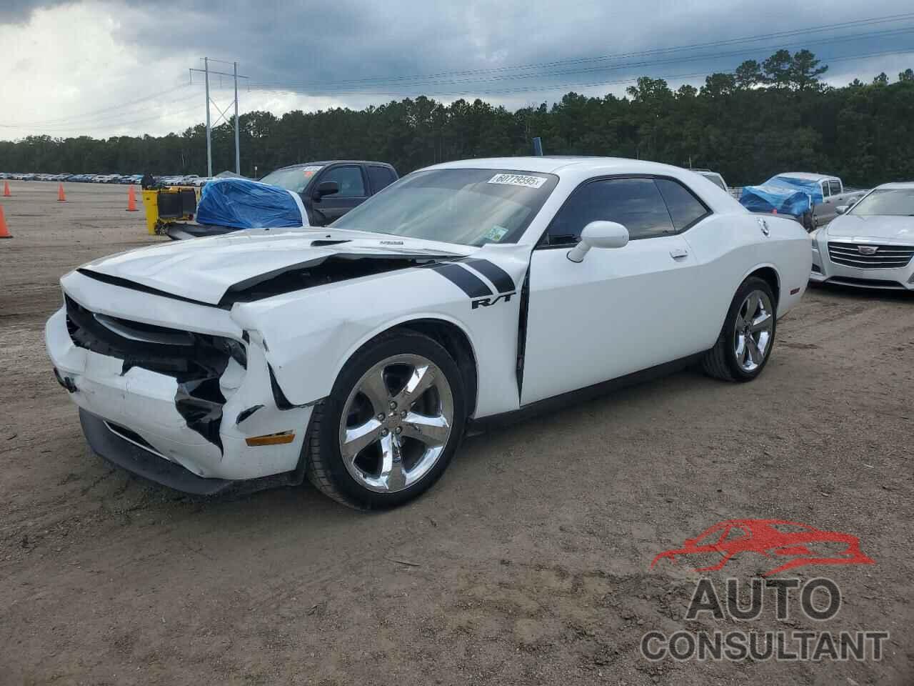 DODGE CHALLENGER 2013 - 2C3CDYBT2DH511366