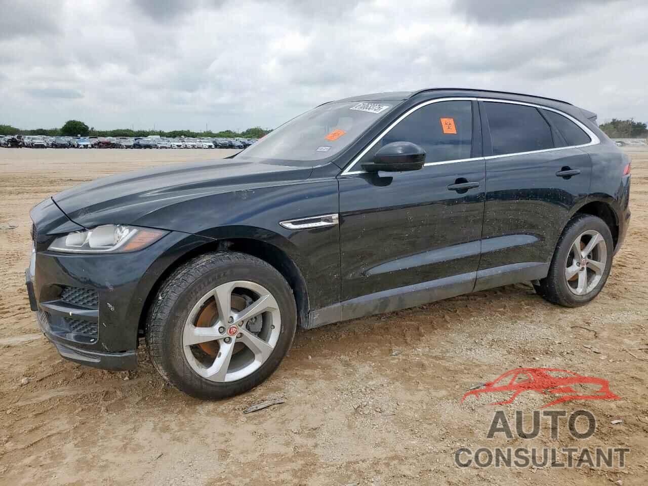 JAGUAR F-PACE 2019 - SADCJ2FX8KA393256